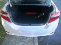 Toyota  Vios 改款首批Vios | 新北市汽車商業同業公會｜TACA優良車商聯盟｜中古、二手車買車賣車公會認證保固