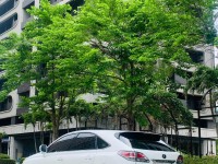 Lexus  RX Lexus RX450h 混合動力旗艦休旅 | 新北市汽車商業同業公會｜TACA優良車商聯盟｜中古、二手車買車賣車公會認證保固