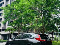 Honda  CR-V ????【熱銷日系休旅首選】 ????2018年 Honda CR-V 1.5  S版 | 新北市汽車商業同業公會｜TACA優良車商聯盟｜中古、二手車買車賣車公會認證保固