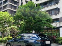 Hyundai  Tucson ????????【新貨到港】2024年式 Hyundai Tucson L GLTH-B 油電版｜超帥節能休旅！ | 新北市汽車商業同業公會｜TACA優良車商聯盟｜中古、二手車買車賣車公會認證保固