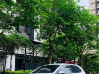 Volkswagen 福斯  Polo ????【超值德系代步車】 ????2012年 VW Polo 1.4 白色???? 只跑8.5萬公里 | 新北市汽車商業同業公會｜TACA優良車商聯盟｜中古、二手車買車賣車公會認證保固