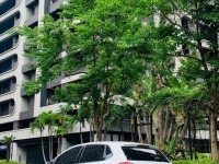 Volkswagen 福斯  Polo ????【超值德系代步車】 ????2012年 VW Polo 1.4 白色???? 只跑8.5萬公里 | 新北市汽車商業同業公會｜TACA優良車商聯盟｜中古、二手車買車賣車公會認證保固