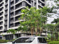 Nissan  Grand Livina 【小資代步首選????超低里程只跑42,000km】 出售：2018年 Lavinia 樂維娜 1.6 銀色款 | 新北市汽車商業同業公會｜TACA優良車商聯盟｜中古、二手車買車賣車公會認證保固