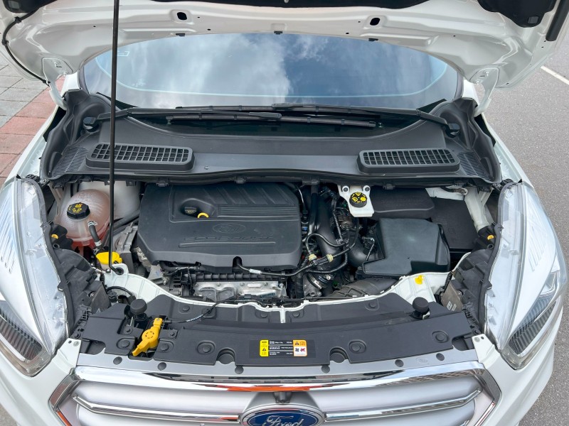 Ford/福特  Kuga 《原廠保固內》2020 Ford Kuga 1.5頂級款 超低里程 只跑5萬 原廠保養 可認證 全車如新 福特 休旅車 | 新北市汽車商業同業公會｜TACA優良車商聯盟｜中古、二手車買車賣車公會認證保固